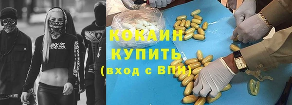 ГАЛЛЮЦИНОГЕННЫЕ ГРИБЫ Козловка