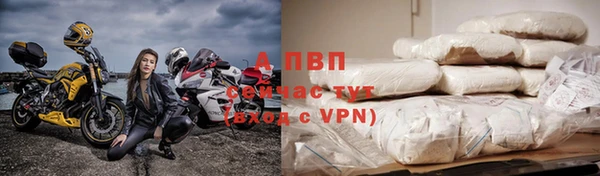 ГАЛЛЮЦИНОГЕННЫЕ ГРИБЫ Козловка