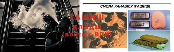 ГАЛЛЮЦИНОГЕННЫЕ ГРИБЫ Козловка