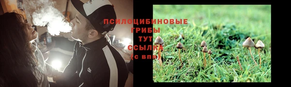 меф Козельск
