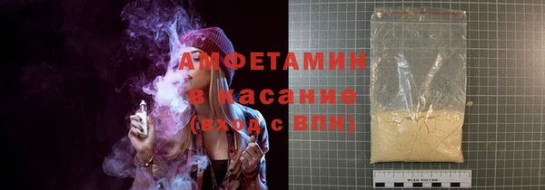 ГАЛЛЮЦИНОГЕННЫЕ ГРИБЫ Козловка