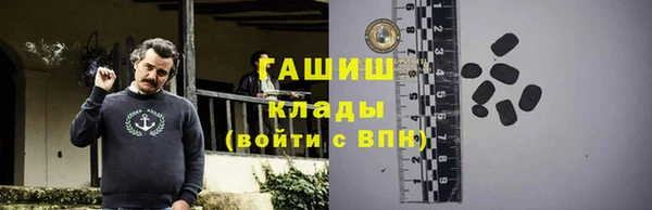ГАЛЛЮЦИНОГЕННЫЕ ГРИБЫ Козловка