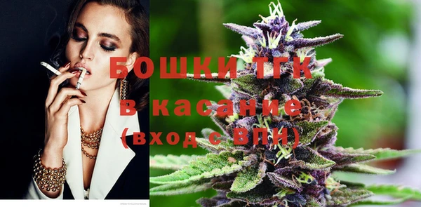 ГАЛЛЮЦИНОГЕННЫЕ ГРИБЫ Козловка