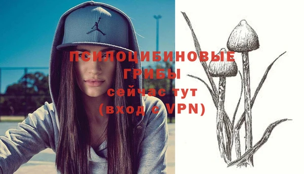 ГАЛЛЮЦИНОГЕННЫЕ ГРИБЫ Козловка