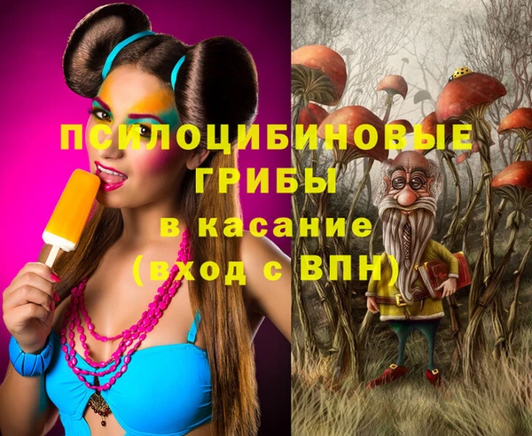 меф Козельск