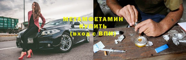 ГАЛЛЮЦИНОГЕННЫЕ ГРИБЫ Козловка