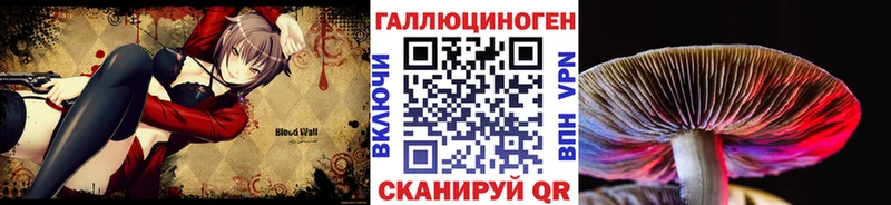 Купить  Боровичи  Псилоцибиновые грибы мухоморы 